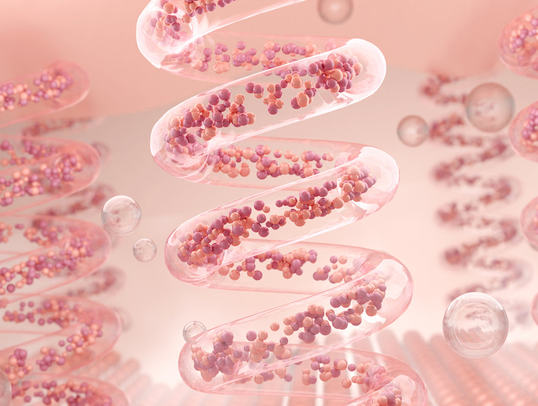 A pink 3d image of elastin fibers, spiraling up and supporting the dermis. Photo Credit: Wangmando / Getty Images