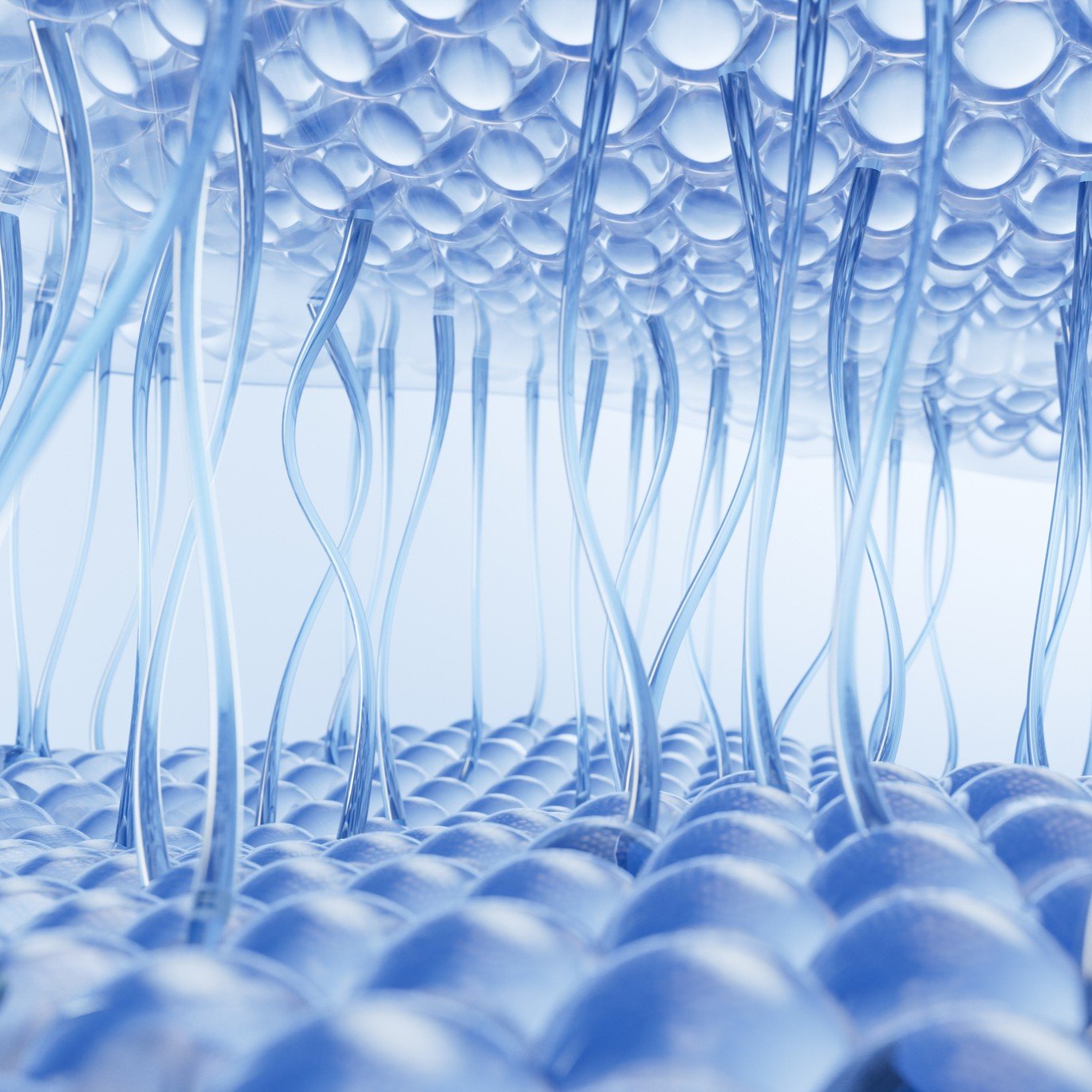 What is Collagen, and why is it Important for Skin? - Skincare Basics - Harben House