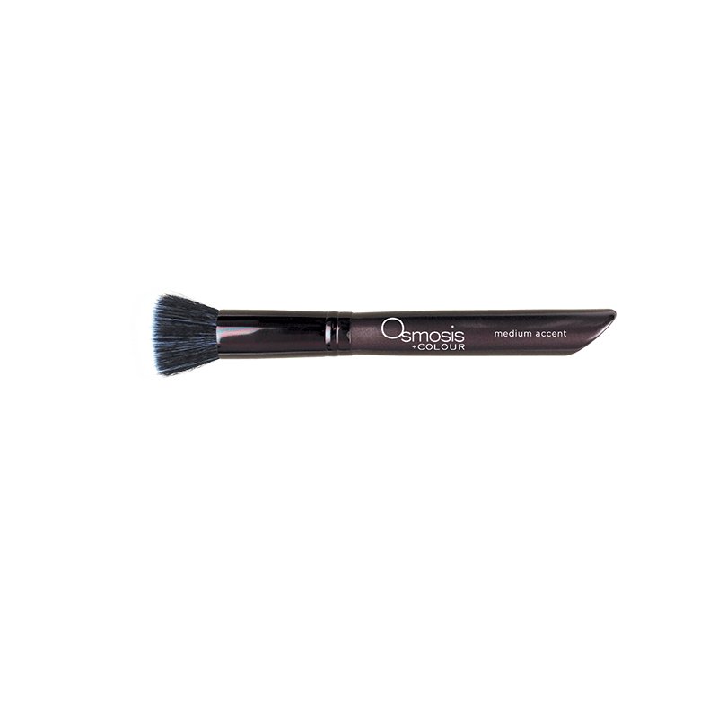 Osmosis Medium Accent Brush - Harben House - Osmosis