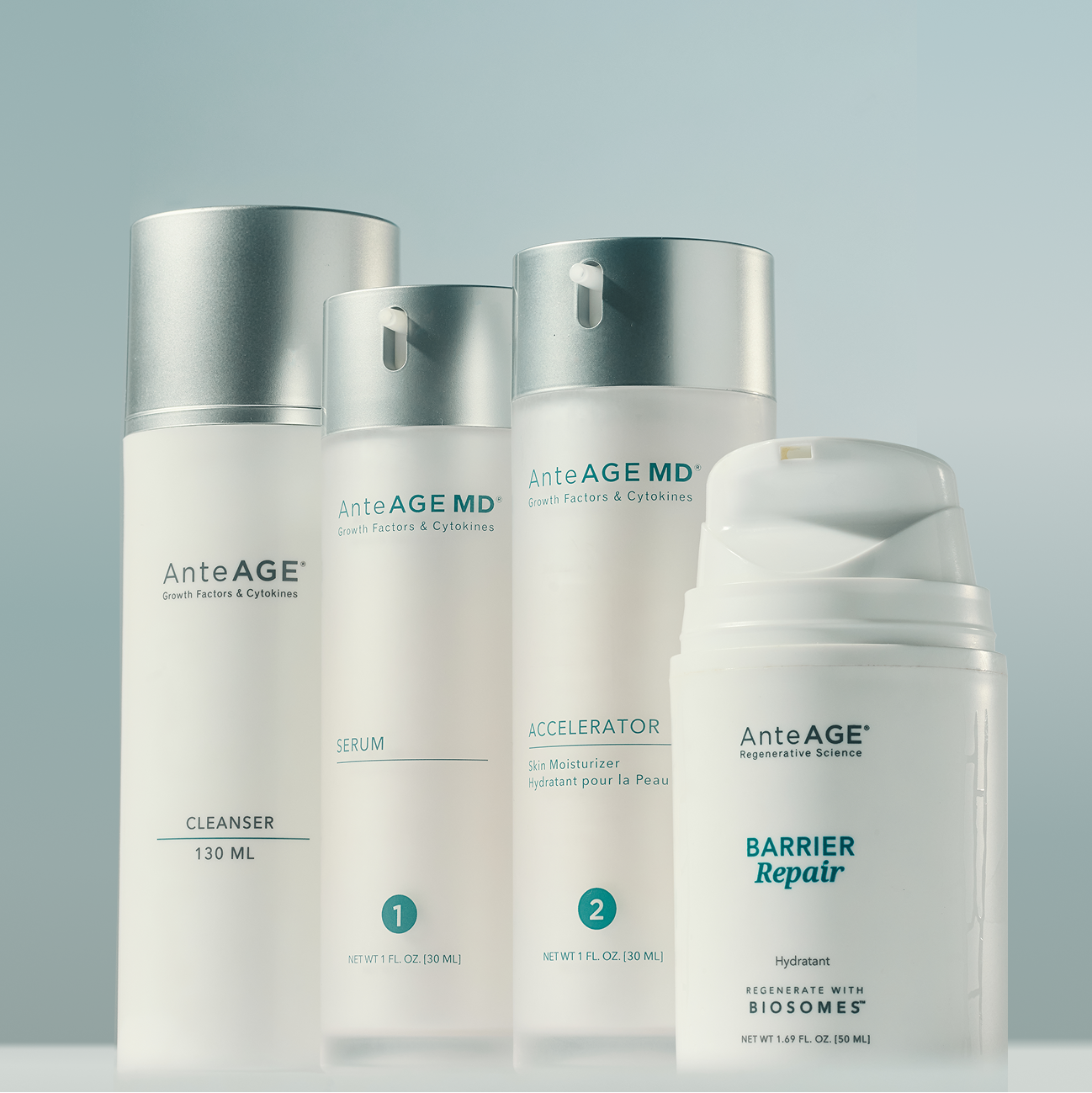 AnteAGE MD Holiday Renewal Collection