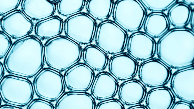 Growth factor cells under a microscope