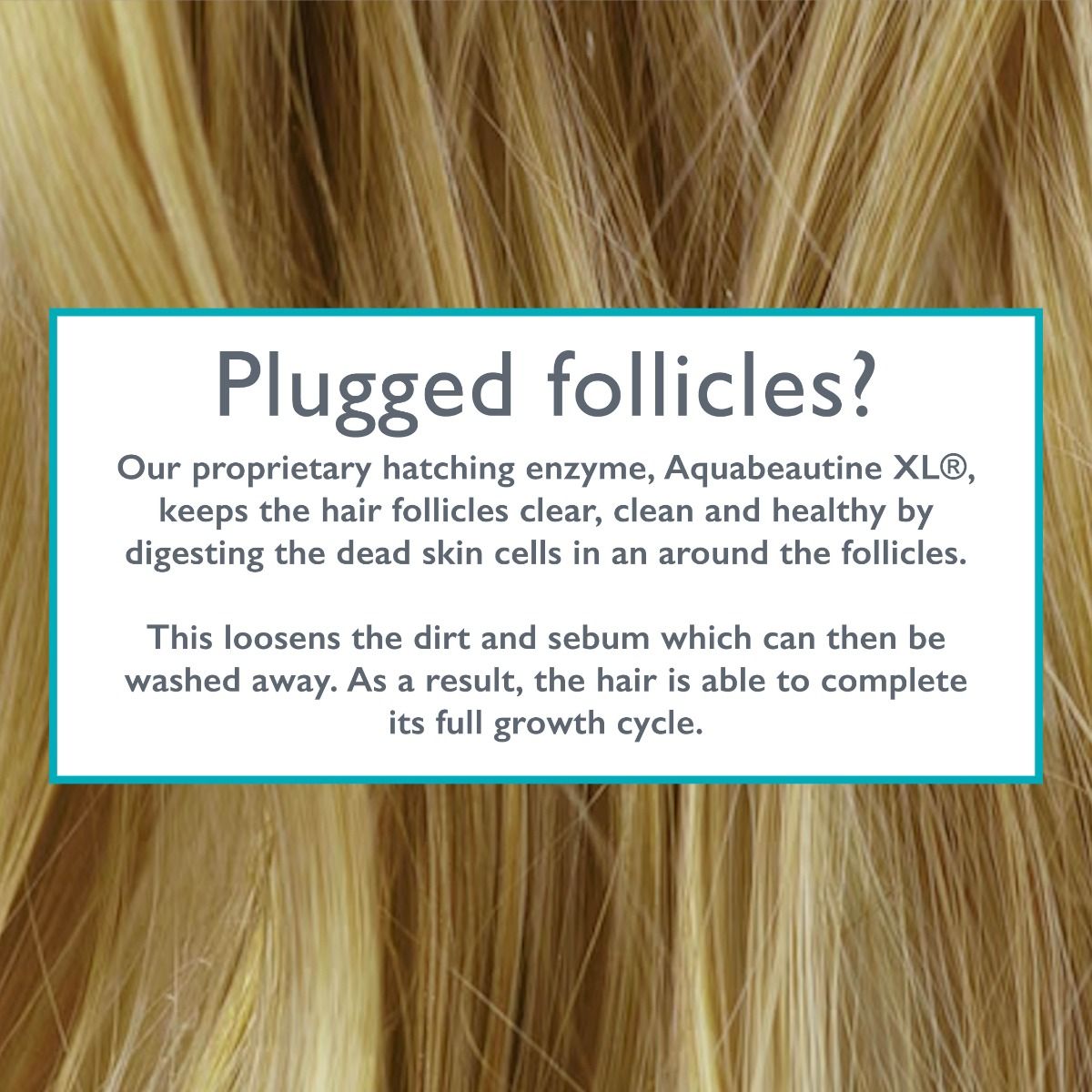 Restorsea PRO Revitalizing Scalp Treatment - Harben House - Restorsea PRO