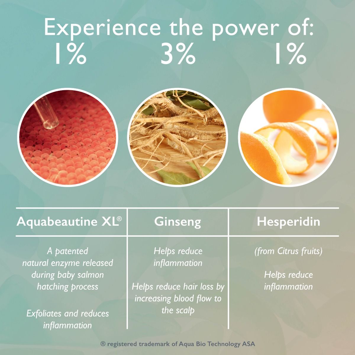 Restorsea PRO Revitalizing Scalp Treatment - Harben House - Restorsea PRO