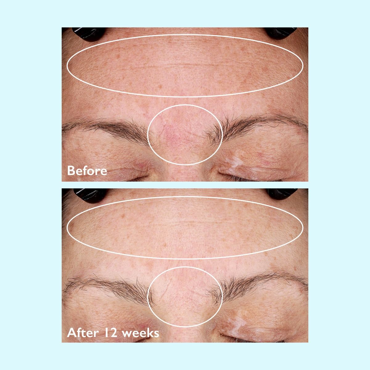Restorsea Rejuvenating Day Cream - Harben House - Restorsea