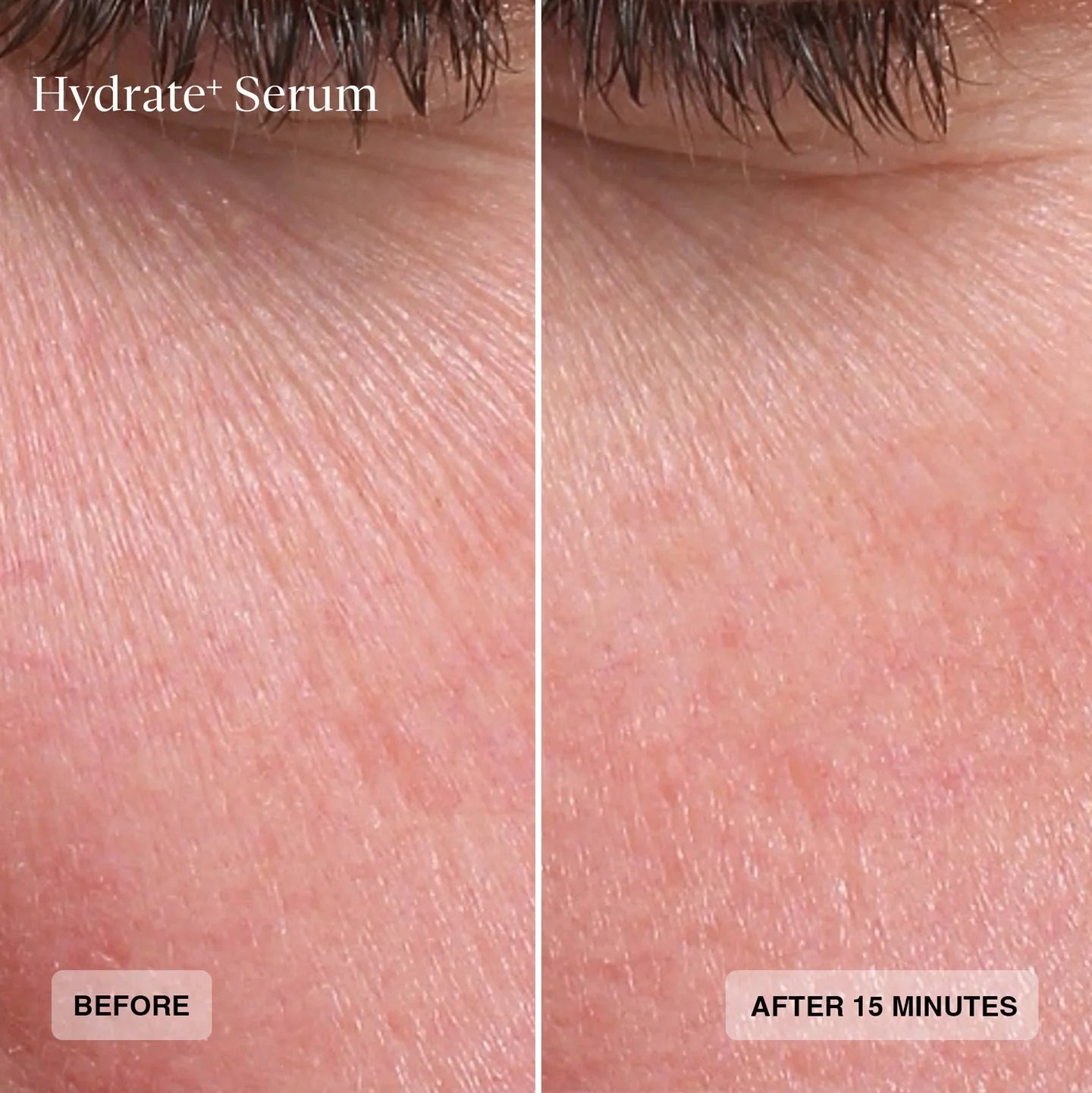 Senté Hydrate+ Serum - Harben House - SENTE