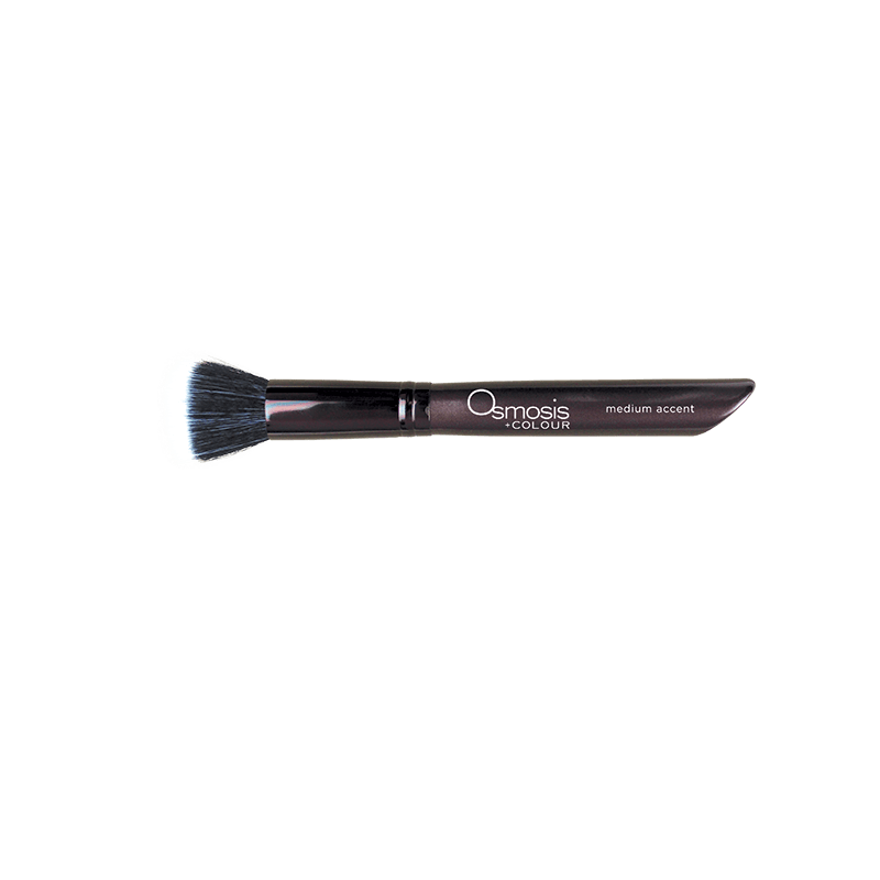 Osmosis Medium Accent Brush - $30.00