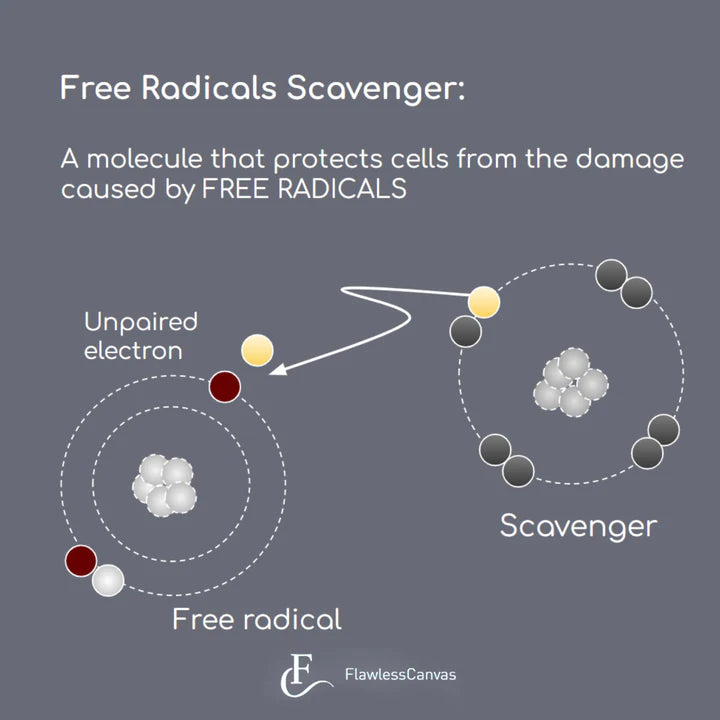 FlawlessCanvas Free Radicals Scavenger - Harben House